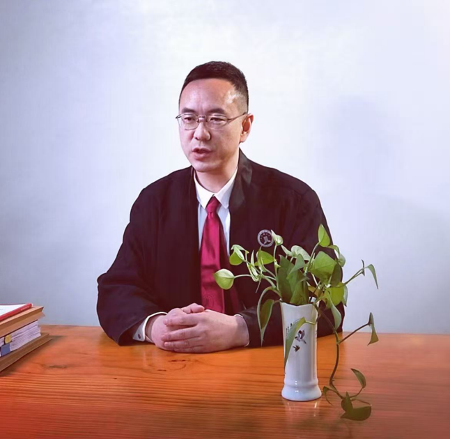 企业法律首席专家顾问