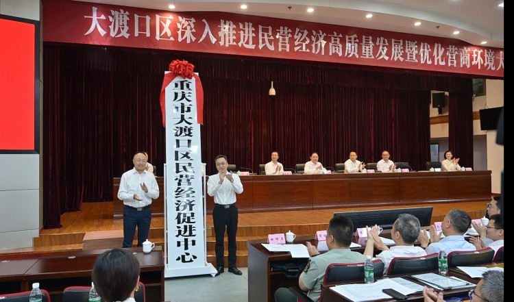 【新闻转载】叫响“速渡办”服务品牌 重庆大渡口打造营商环境最优区